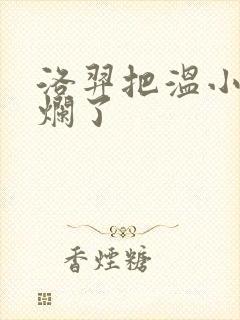 洛羿把温小辉做烂了