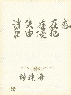 消失存在感消失自由侵犯