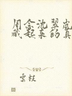 周念沈翠岚《被藏起来的真相》小说封面