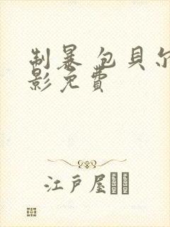 制暴 包贝尔电影免费封面