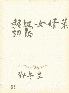 超级女婿叶辰萧初然