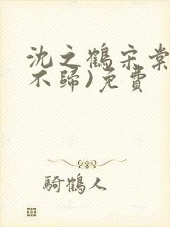 沈之鹤宋棠(鹤不归)免费封面