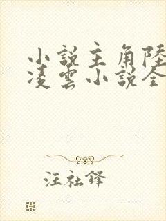 小说主角陆羽盛凌云小说全文免费阅读封面