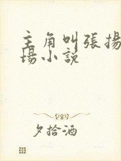 主角叫张扬的官场小说