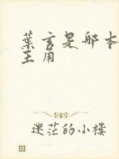 叶玄是哪本小说主角