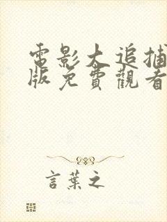 电影大追捕国语版免费观看