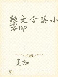 辣文合集小说暴露np封面