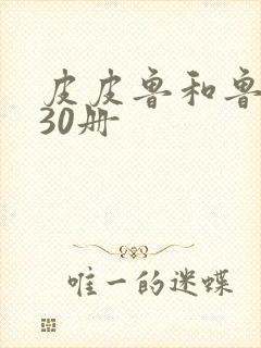 皮皮鲁和鲁西西30册