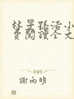 林曼孙浩小说免费阅读全文最新章节