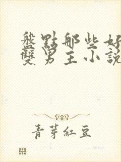 盘点那些好看的双男主小说