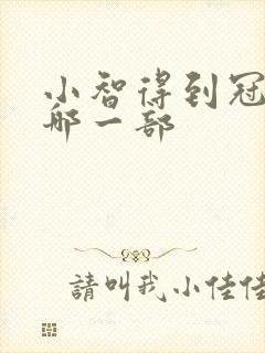 小智得到冠军是哪一部