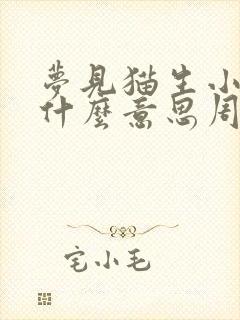 梦见猫生小猫是什么意思周公解梦