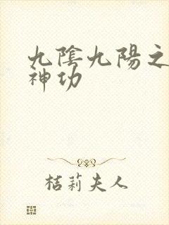 九阴九阳之阴阳神功封面