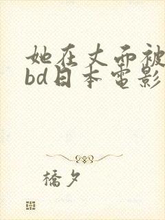 她在丈面被耍了bd日本电影