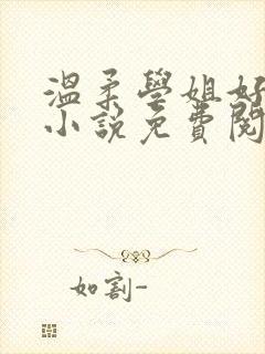 温柔学姐好迷人小说免费阅读全文封面