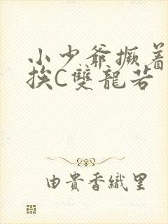 小少爷撅着屁股挨C双龙若