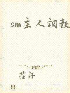 sm主人调教文