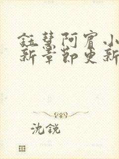 钰慧阿宾小说最新章节更新