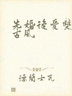 先婚后爱双男主古风