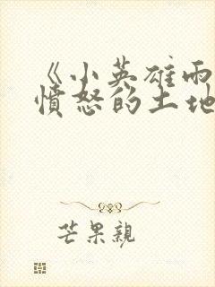 《小英雄雨来》愤怒的土地
