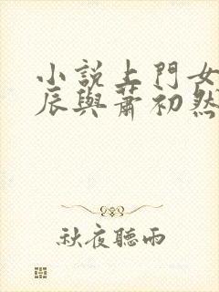 小说上门女婿叶辰与萧初然