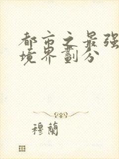 都市之最强狂兵境界划分