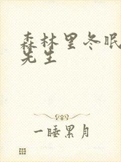 森林里冬眠的熊先生