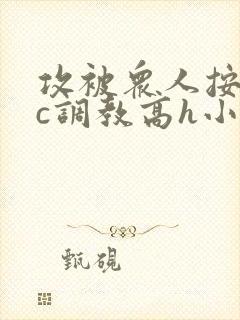 攻被众人按住狠c调教高h小说