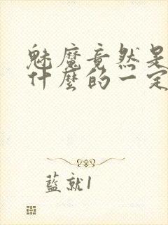 魅魔竟然是勇者什么的一定是搞错了封面