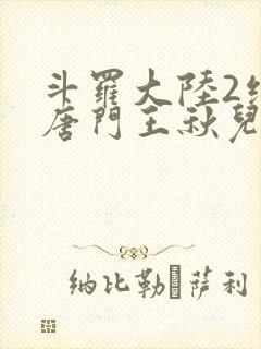 斗罗大陆2绝世唐门王秋儿