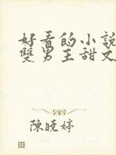 好看的小说推荐双男主甜文