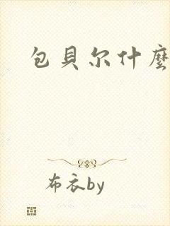 包贝尔什么来头