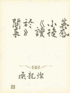 关于《小英雄雨来》读后感1000字