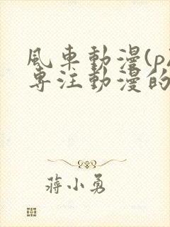 风车动漫(p)专注动漫的门户网站封面