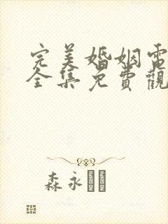 完美婚姻电视剧全集免费观看