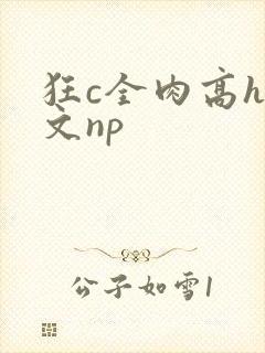狂c全肉高h辣文np