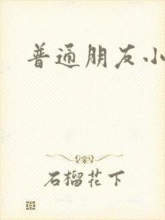 普通朋友小说