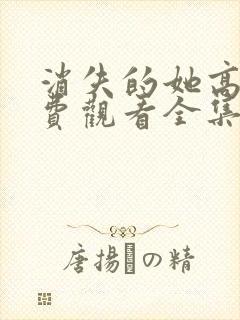 消失的她高清免费观看全集电视剧