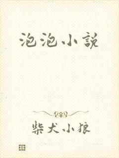 泡泡小说