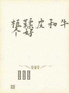 植鞣皮和牛皮哪个好