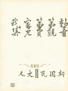 我家第第动漫全集免费观看高清