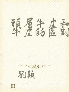 头层牛皮和植鞣牛皮的区别