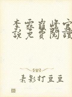 李霖巅峰官场小说免费阅读无弹窗