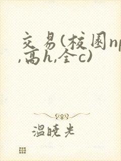 交易(校园np,高h,全c)