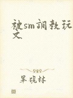 被sm调教玩弄文