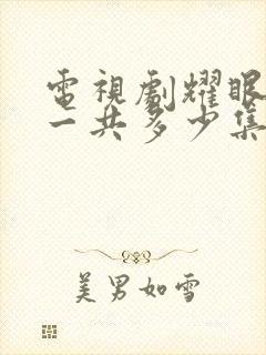 电视剧耀眼的你一共多少集