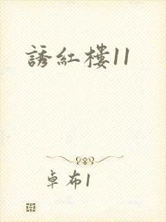 诱红楼11