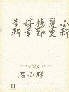 李婷杨丽小说最新章节更新时间封面