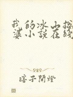 我的冰山总裁老婆小说在线阅读