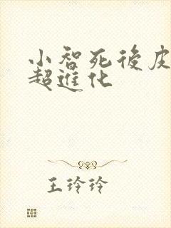 小智死后皮卡丘超进化